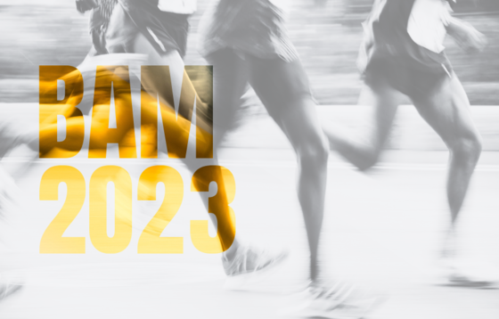 RMG runs the Brescia Art Marathon 2023